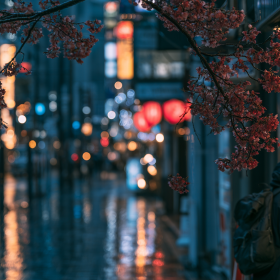 USD to Yen Is Trending: What It Means for Your Japan Trip