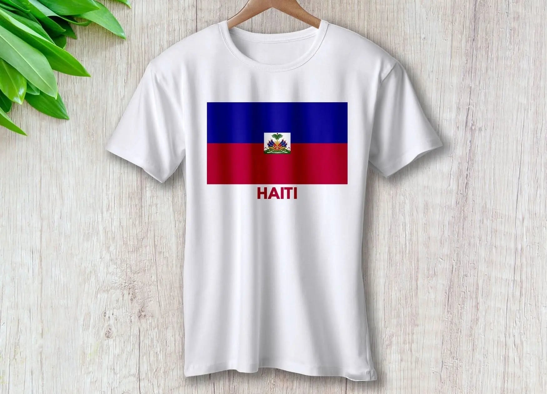 haiti-around-the-world-in-a-rush-8178543
