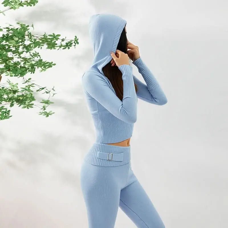 hoodie-suit-women-leisure-sexy-zip-long-sleeve-sweater-and-high-waist-long-pants-set-0-around-the-world-in-a-rush-5061480