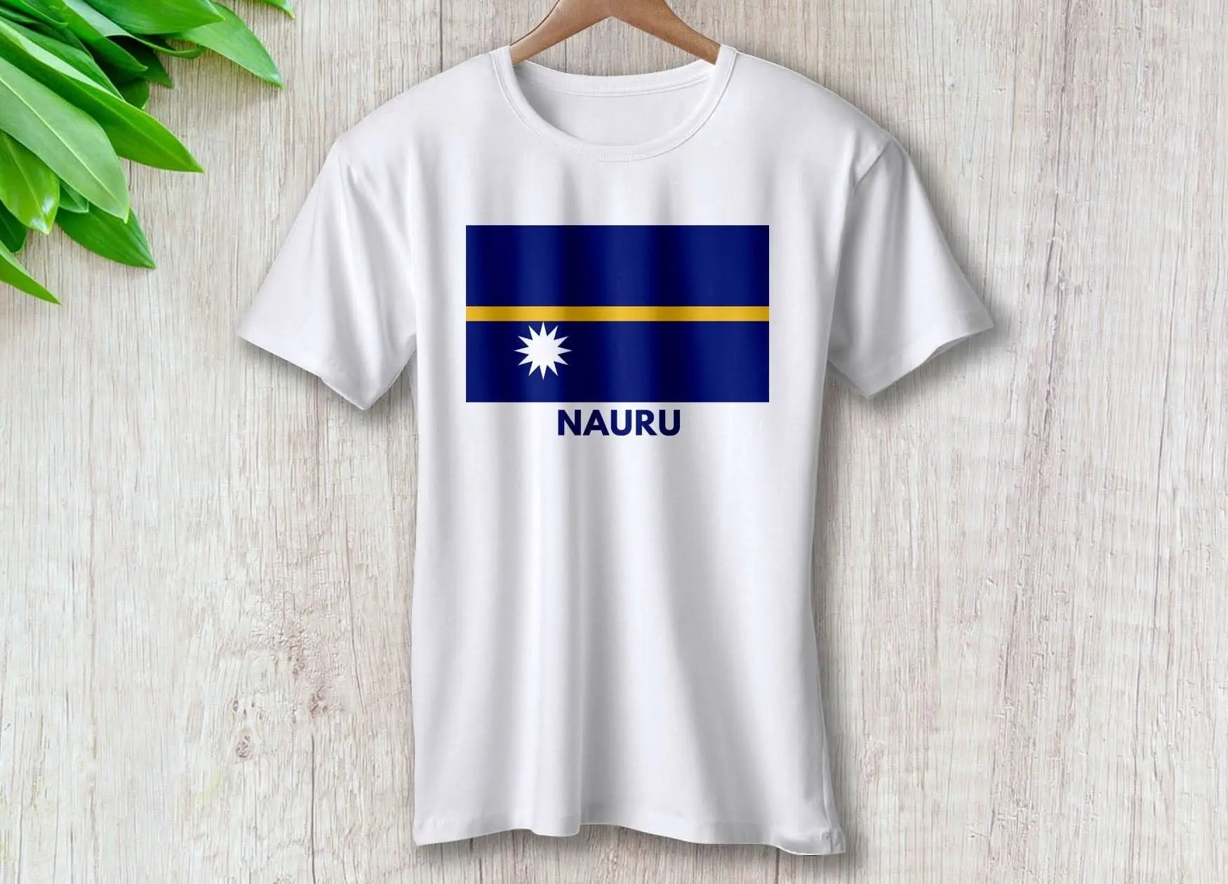 nauru-around-the-world-in-a-rush-7872725