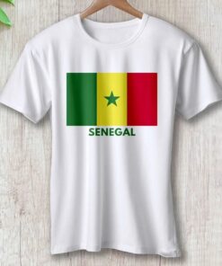 senegal-around-the-world-in-a-rush-7081488