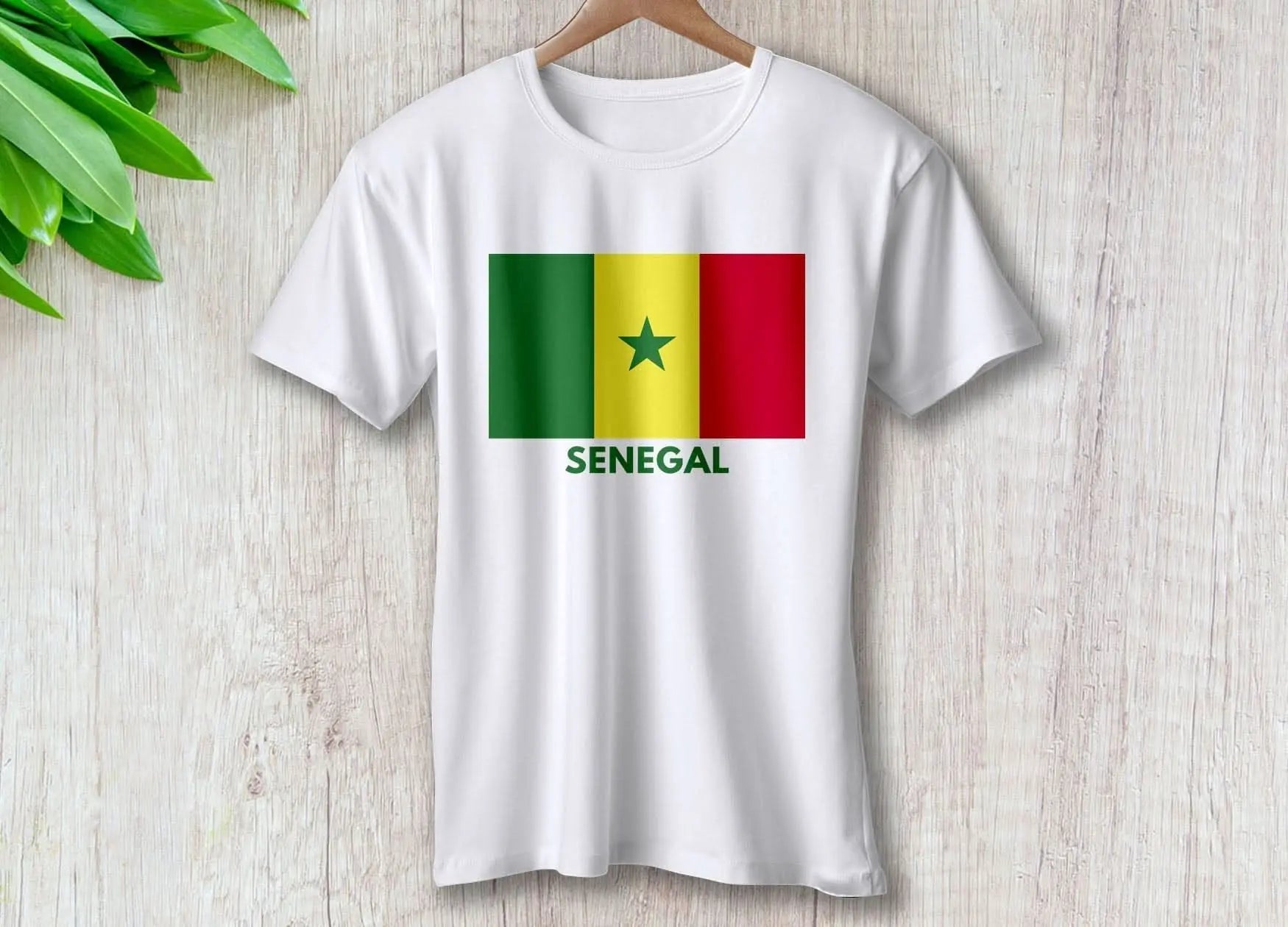 senegal-around-the-world-in-a-rush-7081488