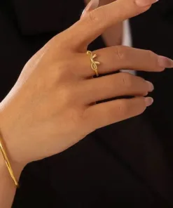 stainless-steel-bow-ring-around-the-world-in-a-rush-6857782