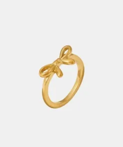 stainless-steel-bow-ring-around-the-world-in-a-rush-9362855